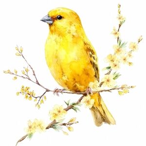 Beautiful Water Color Canery Print